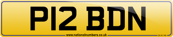 P12 BDN