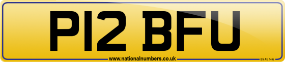 P12 BFU