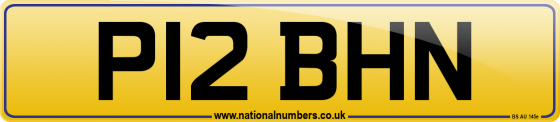 P12 BHN