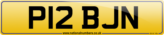 P12 BJN