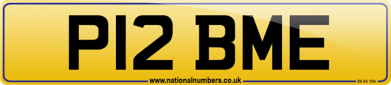 P12 BME