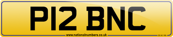 P12 BNC