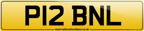P12 BNL