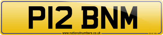 P12 BNM