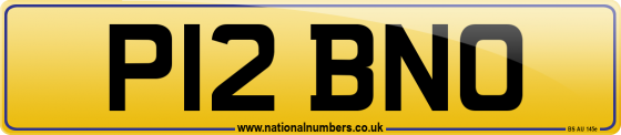 P12 BNO