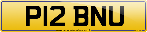P12 BNU