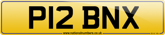 P12 BNX