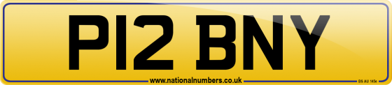 P12 BNY