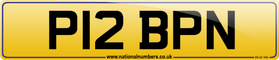 P12 BPN