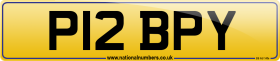 P12 BPY