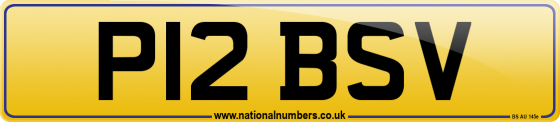 P12 BSV