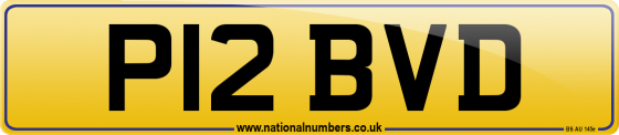 P12 BVD