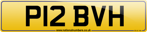 P12 BVH