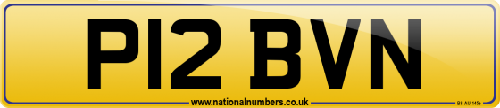 P12 BVN