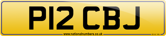 P12 CBJ