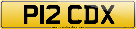 P12 CDX