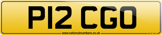 P12 CGO