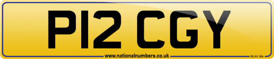 P12 CGY