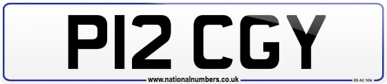 P12 CGY