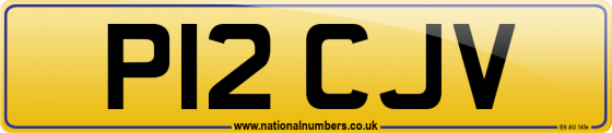 P12 CJV