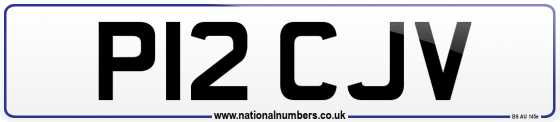 P12 CJV