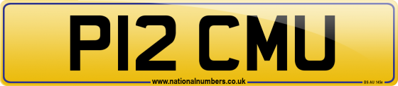P12 CMU