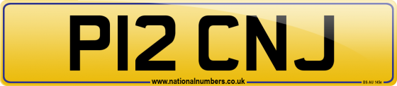 P12 CNJ
