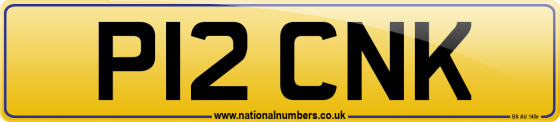 P12 CNK