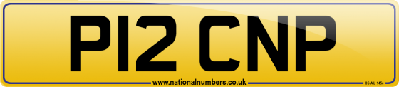 P12 CNP