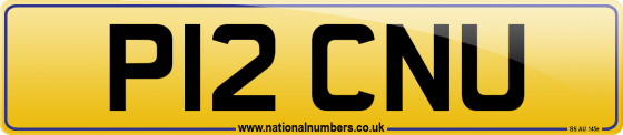 P12 CNU