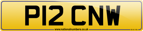 P12 CNW