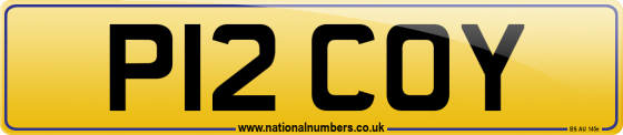 P12 COY