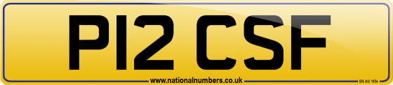 P12 CSF