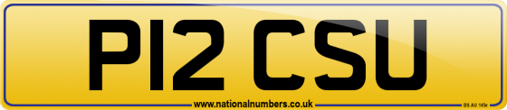 P12 CSU