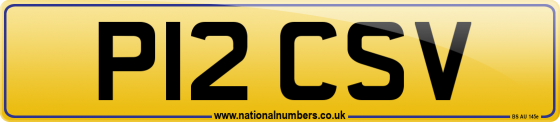 P12 CSV