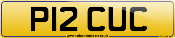 P12 CUC
