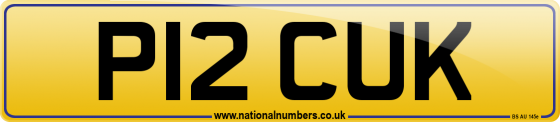 P12 CUK