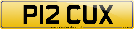 P12 CUX