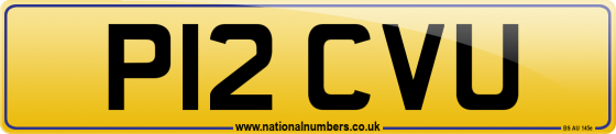 P12 CVU