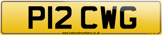 P12 CWG