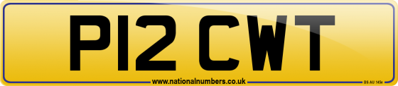 P12 CWT