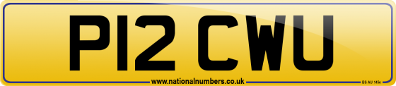 P12 CWU