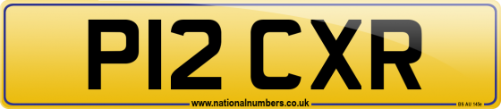 P12 CXR