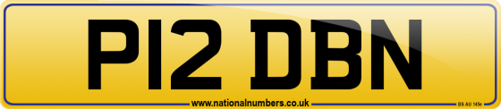 P12 DBN