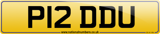 P12 DDU