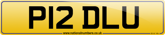 P12 DLU