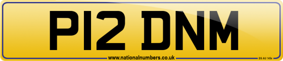 P12 DNM