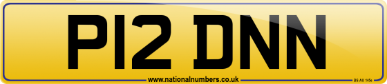 P12 DNN