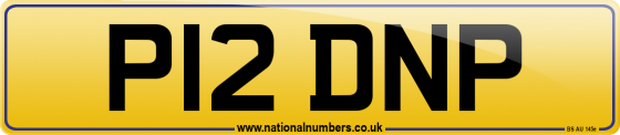 P12 DNP