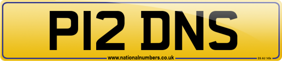 P12 DNS